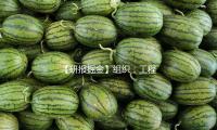 【研报掘金】组织：工程机械理论周期替换时刻逐渐到来 看好职业康复