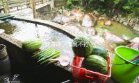 刘诗诗，非离不行？
