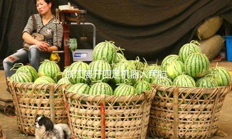 浙江展开四足机器人民航范畴试点使用 可智能巡检驱鸟