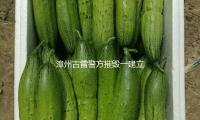 漳州古雷警方摧毁一建立欺诈网站违法犯罪窝点