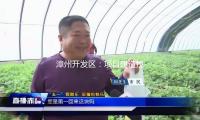 漳州开发区：项目建造拉满“进度条”