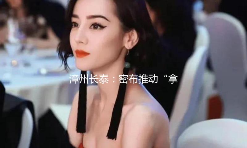 漳州长泰：密布推动“拿地即开工”
