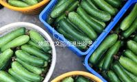 姚笛发文回应退出综艺，饭桌细节令人疼爱，未来可有三种挑选