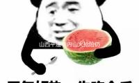 山西平遥境内山火抢险仍在进行 已投入千余人进行救活作业 — 新京报