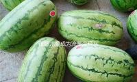 谨防儿童成为流量变现东西