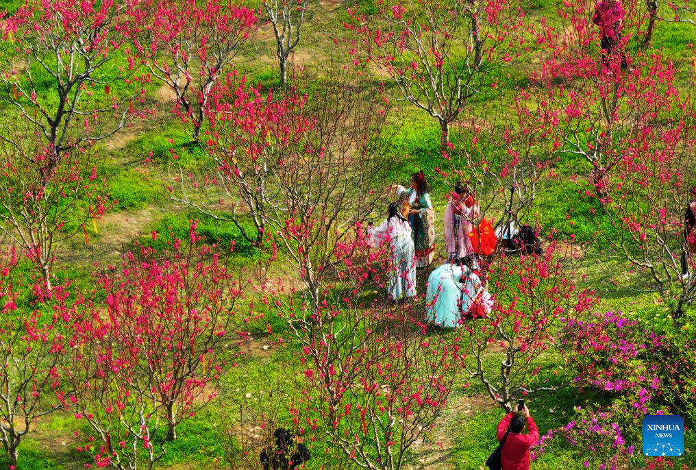 Spring scenery across China