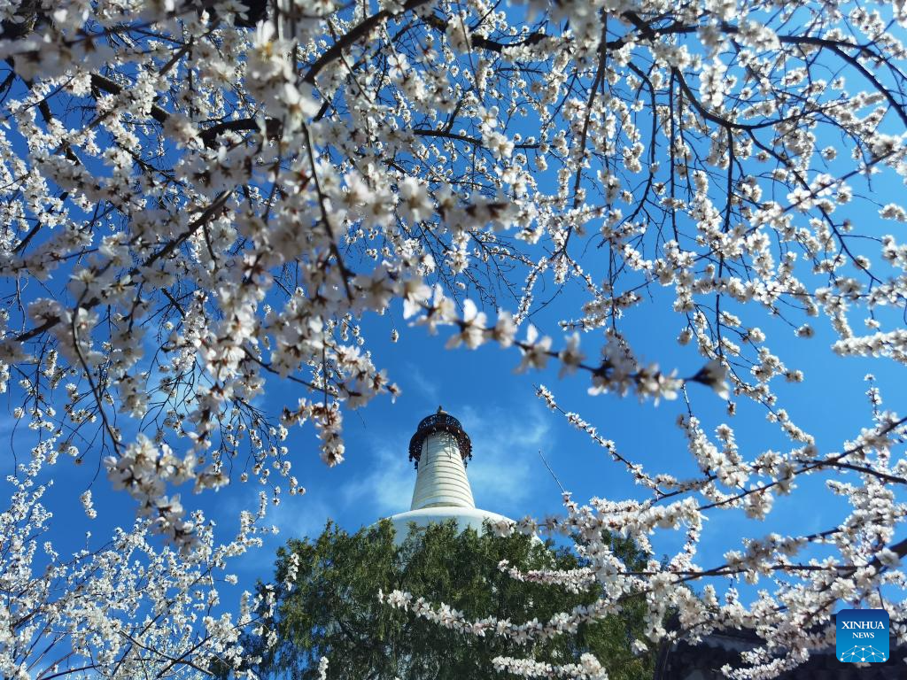Spring scenery across China