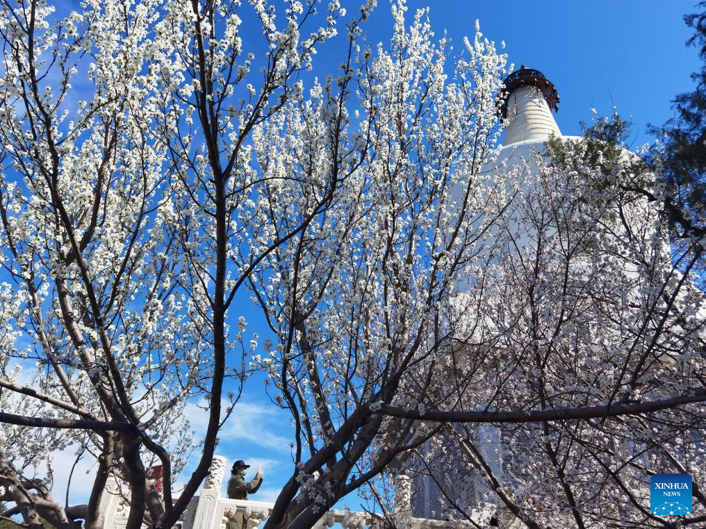 Spring scenery across China