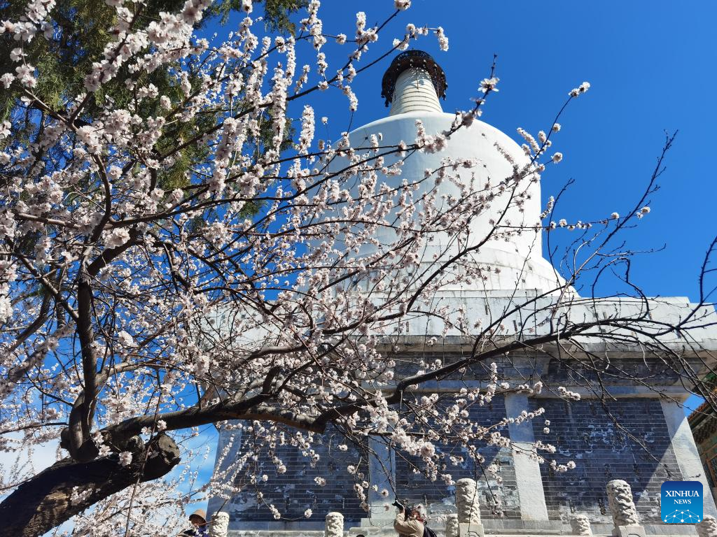 Spring scenery across China