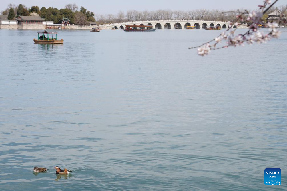 Spring scenery across China