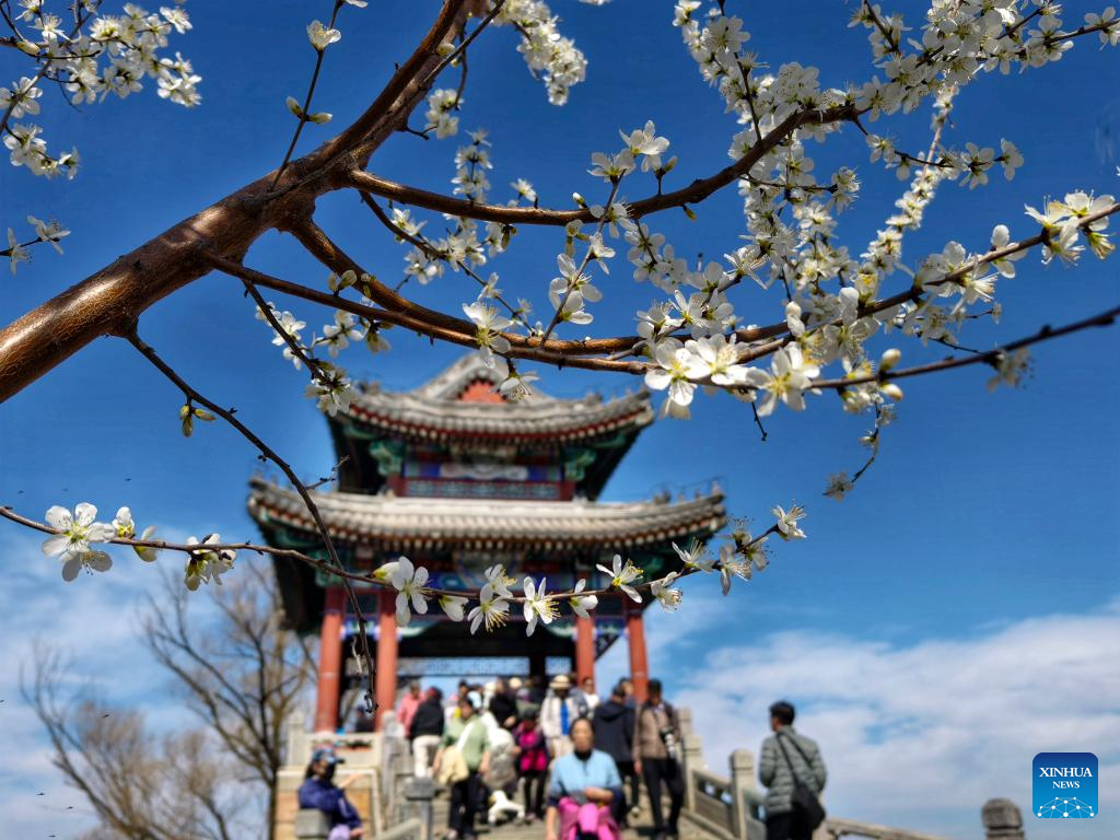 Spring scenery across China