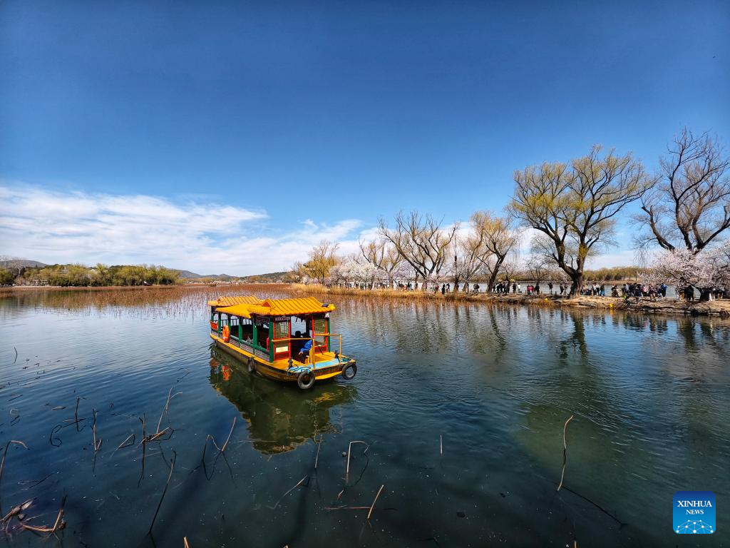 Spring scenery across China