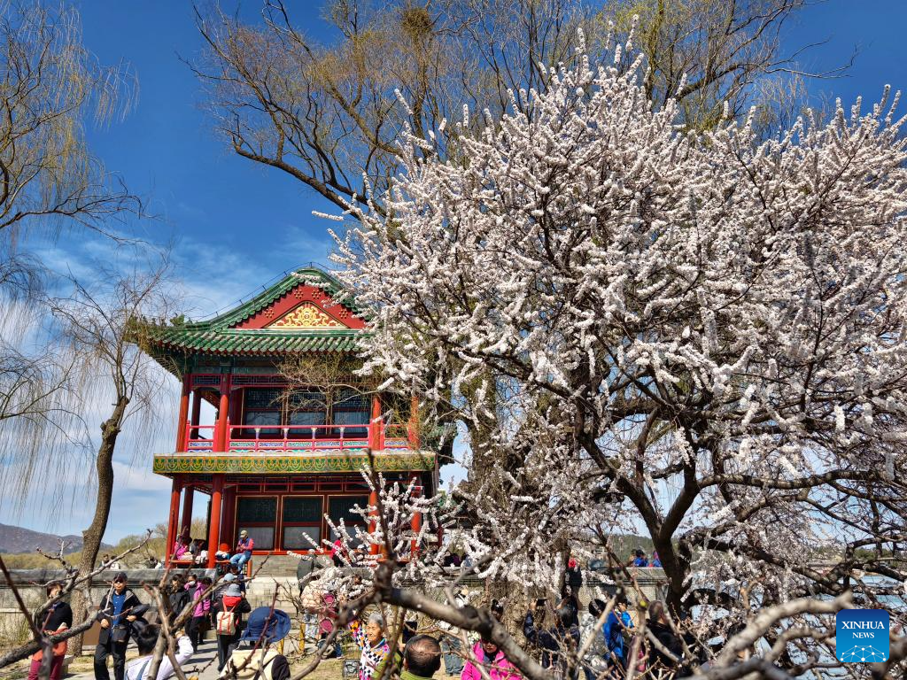 Spring scenery across China