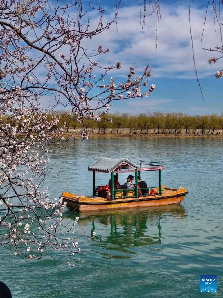 Spring scenery across China