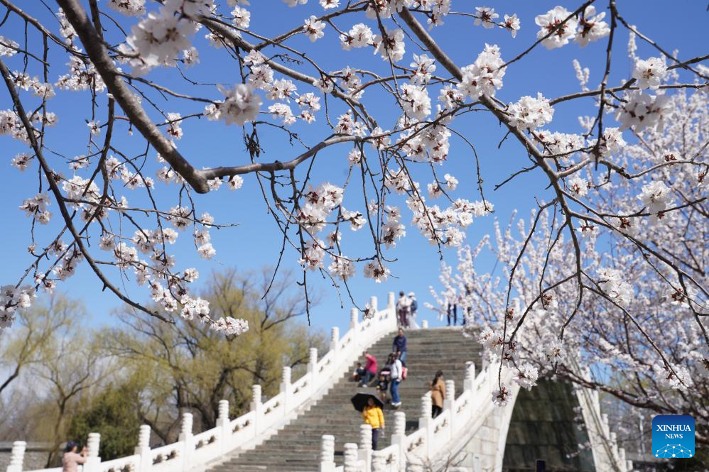 Spring scenery across China