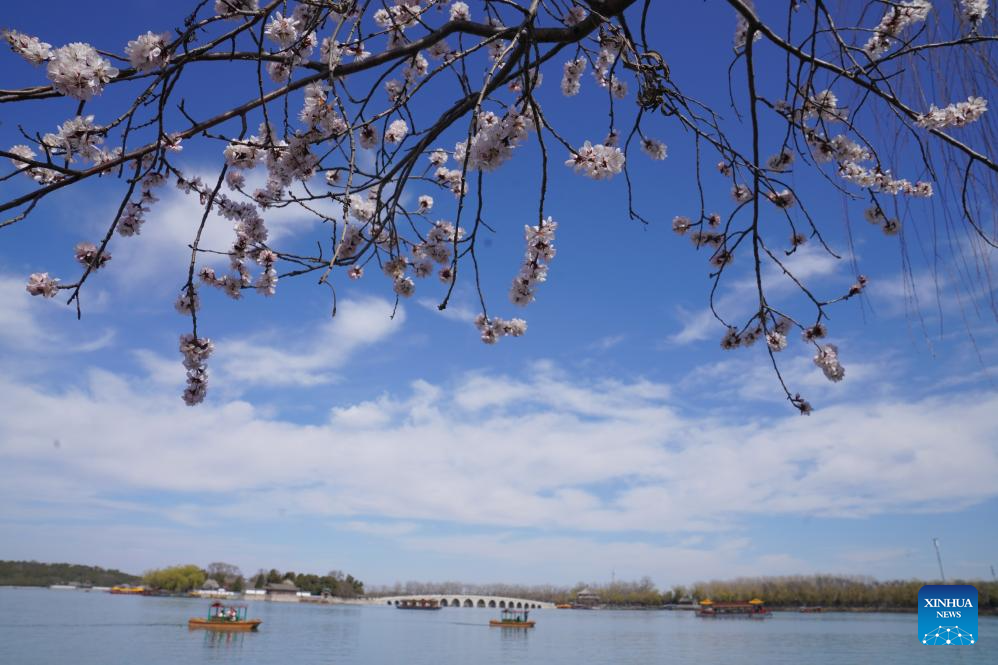 Spring scenery across China