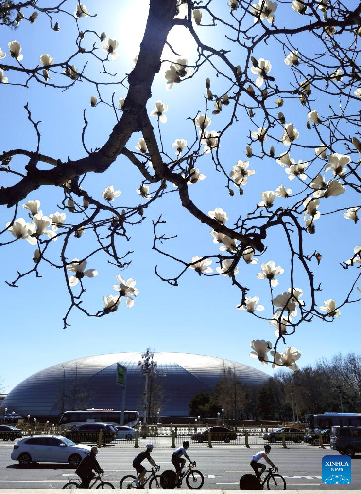 Spring scenery across China