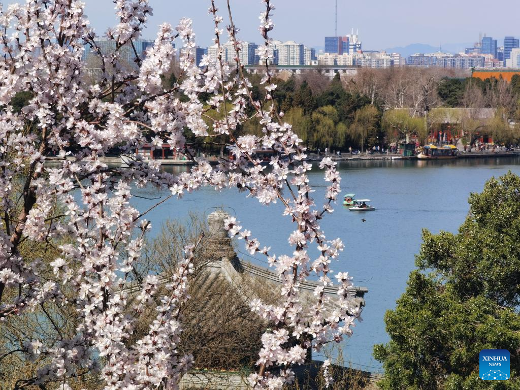 Spring scenery across China