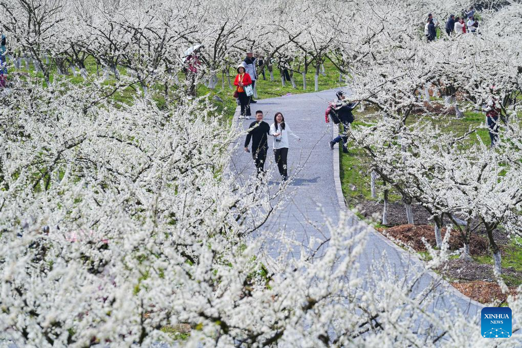 Spring scenery across China