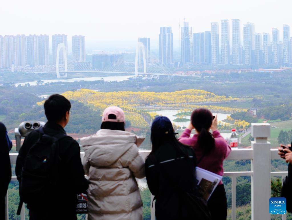 Spring scenery across China
