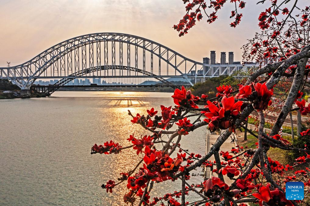 Spring scenery across China