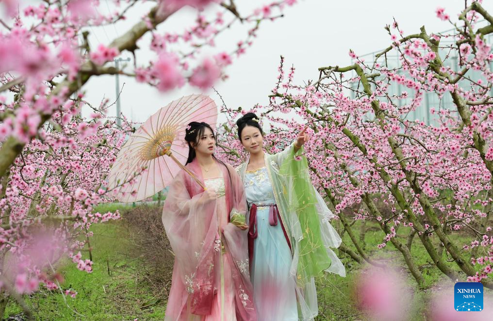 Spring scenery across China
