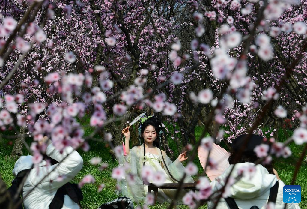 Spring scenery across China