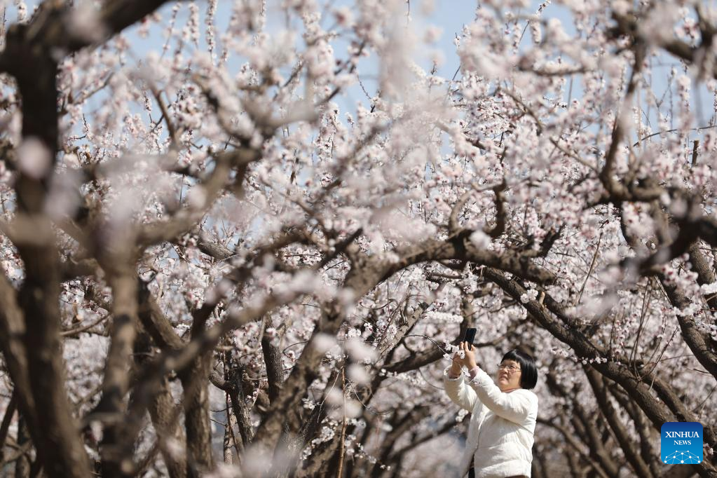 Spring scenery across China