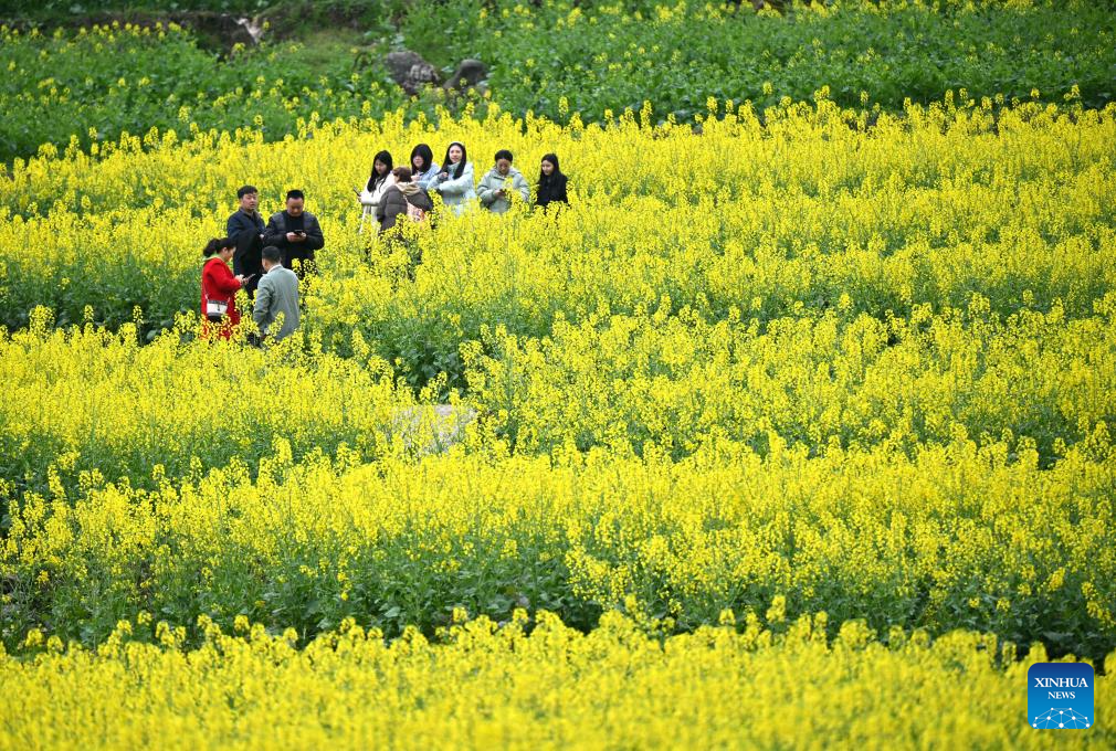 Spring scenery across China