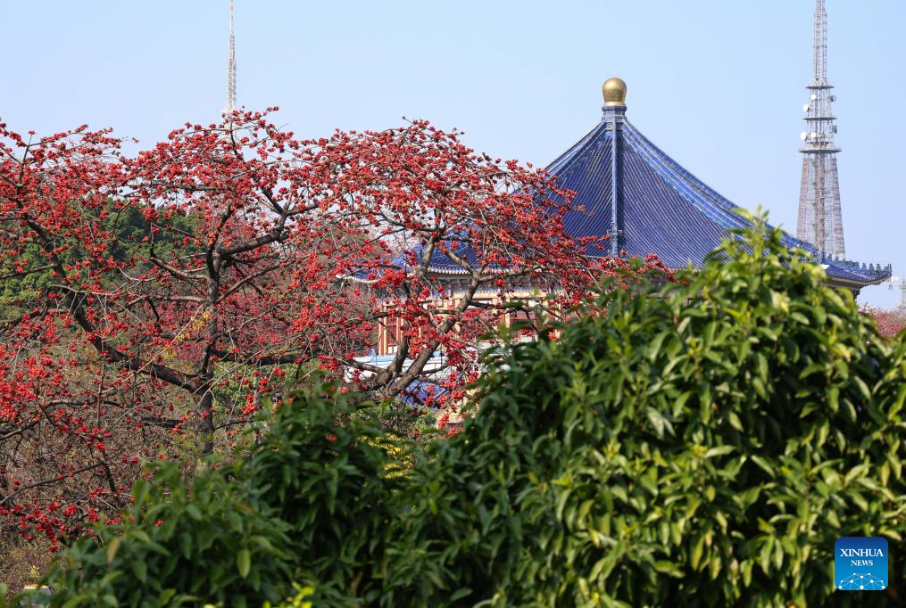 Spring scenery across China