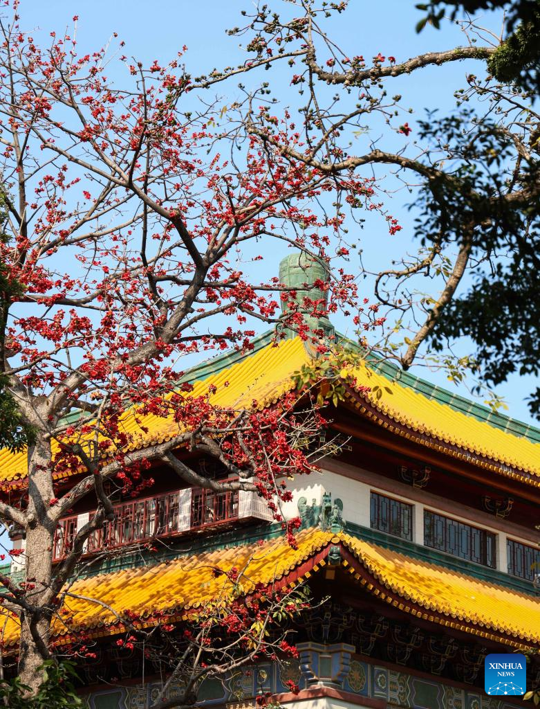 Spring scenery across China