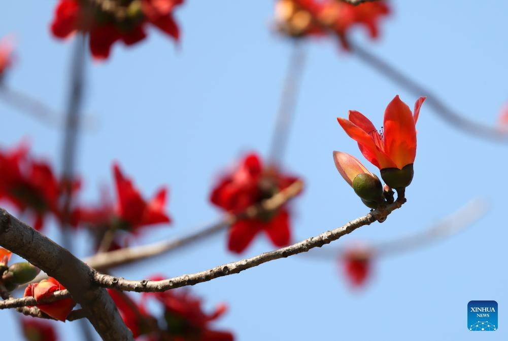 Spring scenery across China
