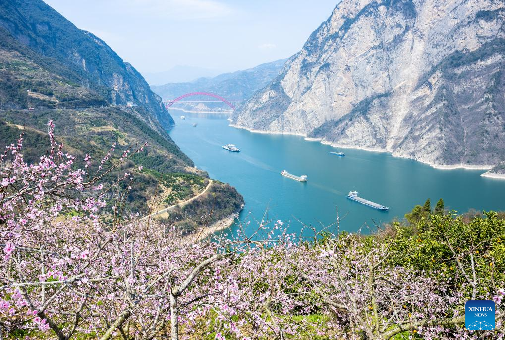 Spring scenery across China
