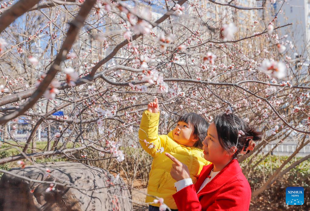 Spring scenery across China