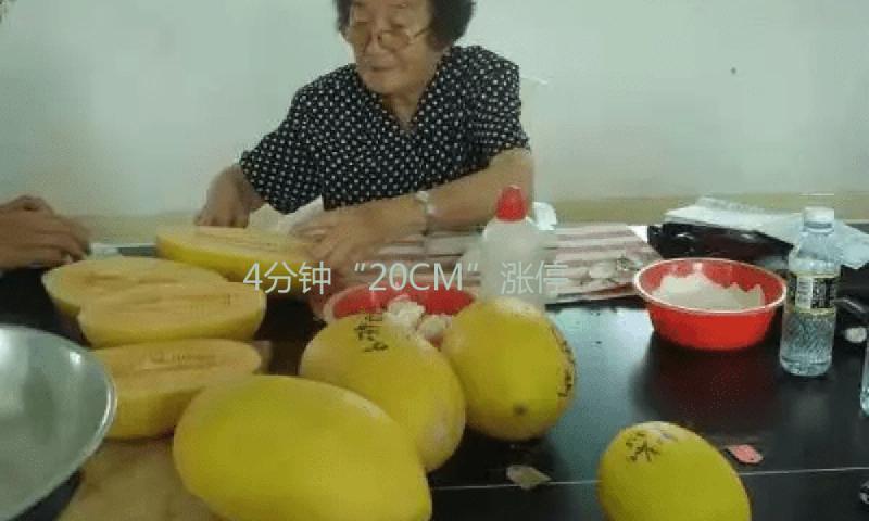 4分钟“20CM”涨停！芯片产业链个股大涨！RISC