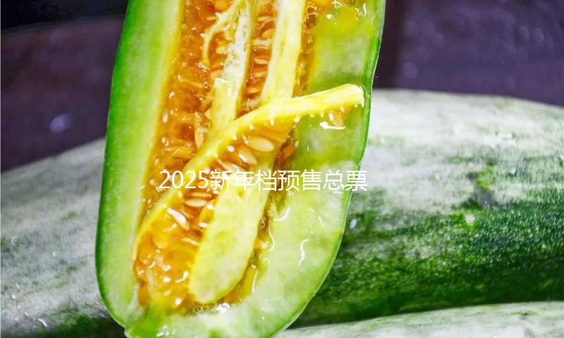 2025新年档预售总票房破2亿，《射雕英雄传：侠之大者》领跑 — 新京报